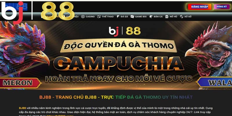 Tại sao nên đăng nhập BJ88?