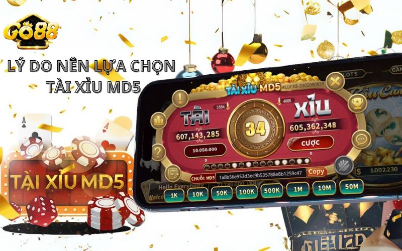 Lý do nên chọn chơi tài xỉu MD5